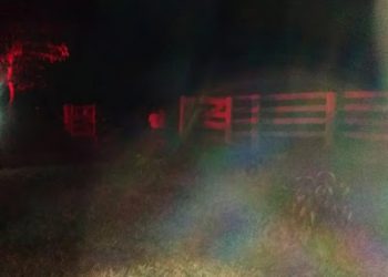 Cujubim/RO – Homem sai de casa para buscar cacho de banana e é morto com seis tiros