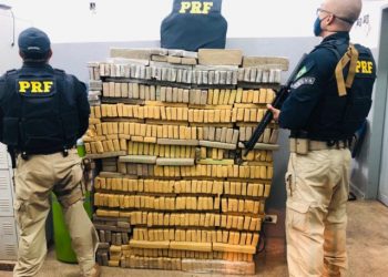 Imperatriz/MA – PRF apreende meia tonelada de maconha na BR 010, avaliada em R$ 500 mil