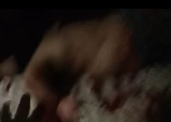 Santa Rita/MA – Noite de terror com homicídio e tentativa de homicídio