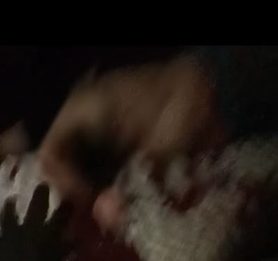 Santa Rita/MA – Noite de terror com homicídio e tentativa de homicídio