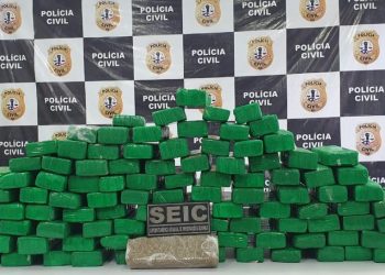 Campo de Periz/MA – SEIC apreende mais de 100 kg de drogas