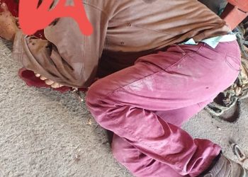 PERITORÓ-MA – HOMEM É ASSASSINADO A TIROS NA MANHÃ DE HOJE