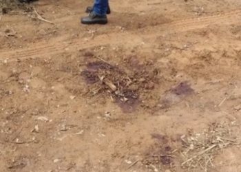 Amarante/MA – Casal é assassinado e mais um filho de apenas um ano