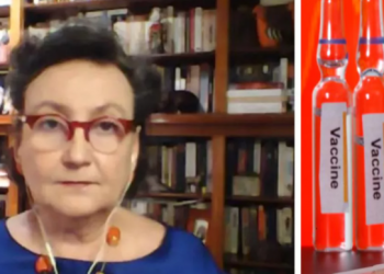 Brasil não deverá ter vacinação antes de fevereiro, diz pesquisadora da Fiocruz