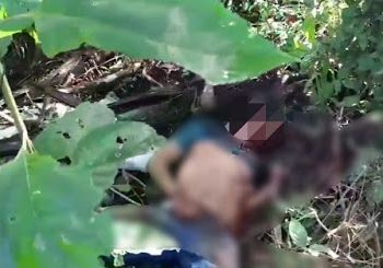 Santa Santa/MA – Homem é assassinado a golpes de faca durante a madrugada