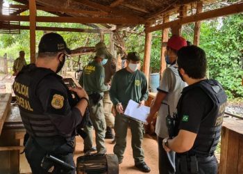 Amarante do Maranhão/MA – Madeira irregular é apreendida em operação da PF e do Ibama contra crimes ambientais no Maranhão