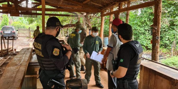 Amarante do Maranhão/MA – Madeira irregular é apreendida em operação da PF e do Ibama contra crimes ambientais no Maranhão