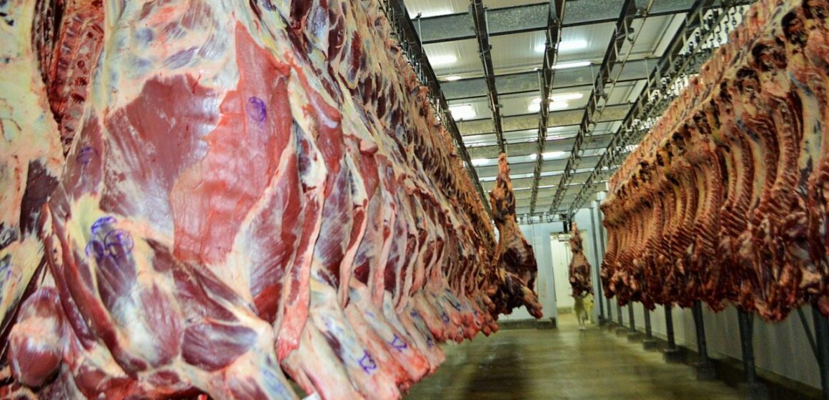 São Luís/MA – Abate ilegal de bovinos motiva Denúncia do Ministério Público