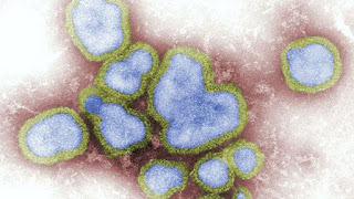 São Luís/MA – Confirmado primeiro caso de Influenza H3N2 no Maranhão