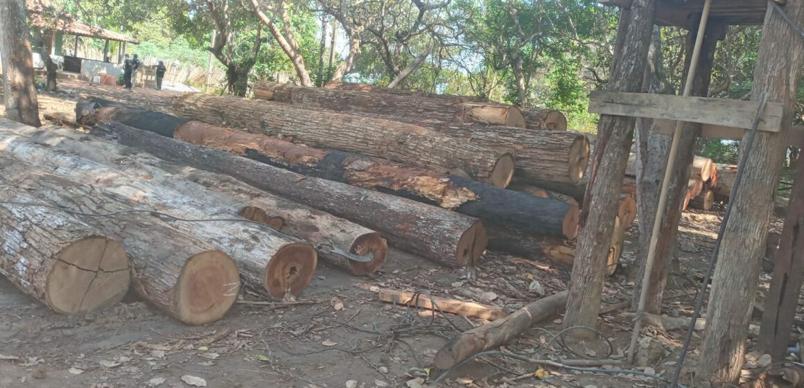 Buriticupu/MA – PF realiza operação contra combate ao desmatamento e caça ilegal no Maranhão