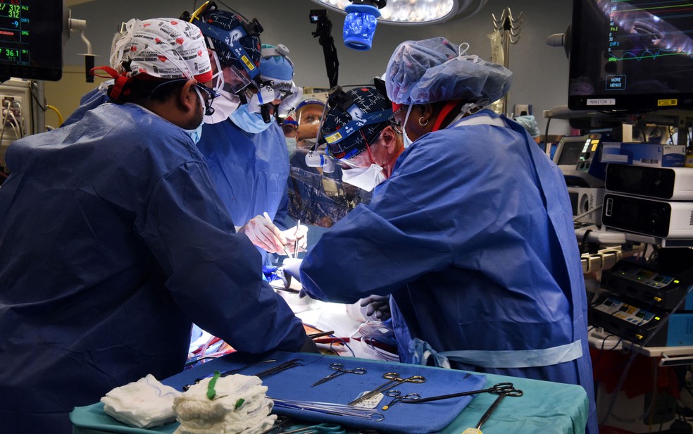 Cirurgiões transplantam com sucesso um coração de porco em uma pessoa