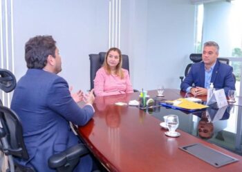 Iracema Vale discute projetos de conectividade com ministro das Comunicações