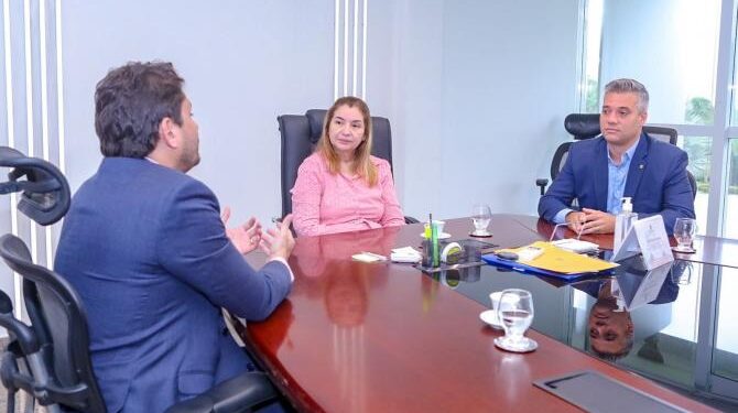 Iracema Vale discute projetos de conectividade com ministro das Comunicações