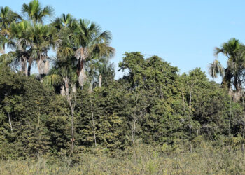 São Luís/MA – Parceria entre Estado e municípios torna processo de licenciamento ambiental mais eficiente
