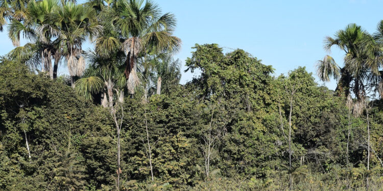 São Luís/MA – Parceria entre Estado e municípios torna processo de licenciamento ambiental mais eficiente