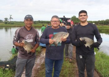 MATOES DO NORTE/MA – O prefeito Solimar Alves através da prefeitura municipal realizou com sucesso a PASCOA SOLIDARIA.