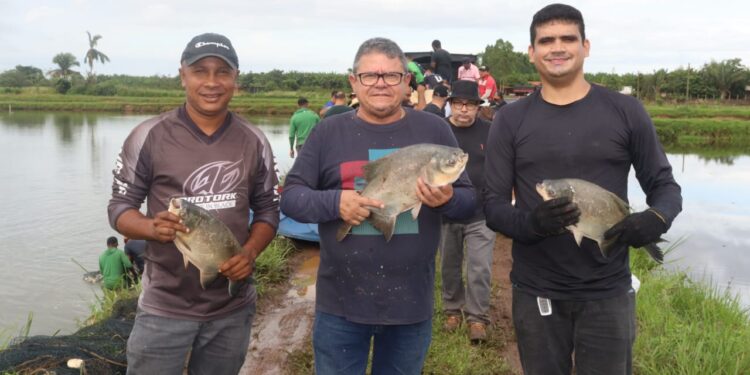 MATOES DO NORTE/MA – O prefeito Solimar Alves através da prefeitura municipal realizou com sucesso a PASCOA SOLIDARIA.