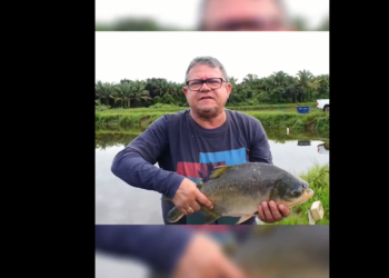 MATÕES DO NORTE/MA – Páscoa Solidária