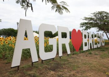 Balsas/MA – Governo do Maranhão leva ampla programação de serviços e atividades para a Agrobalsas 2023