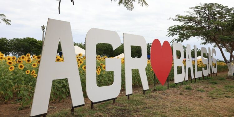 Balsas/MA – Governo do Maranhão leva ampla programação de serviços e atividades para a Agrobalsas 2023