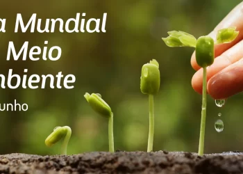 São Luís/MA – Governo comemora Dia do Meio Ambiente com lançamento do Junho Verde, vasta programação e ações de preservação ambiental