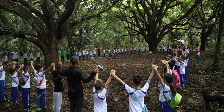 São Luís/MA – Parque do Itapiracó recebe estudantes no Dia Mundial do Meio Ambiente