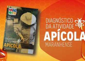 São Luís/MA – Imesc divulga Diagnóstico da Atividade Apícola Maranhense