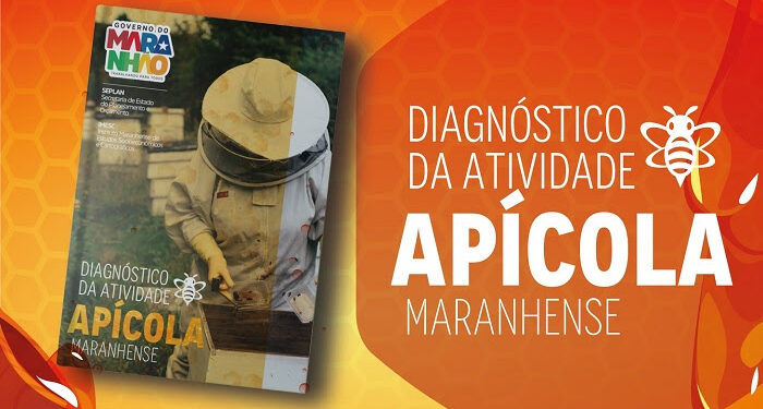 São Luís/MA – Imesc divulga Diagnóstico da Atividade Apícola Maranhense
