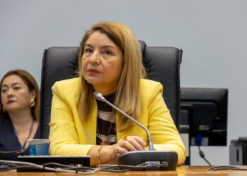 MARANHÃO – Iracema Vale reivindica implantação da Casa da Mulher Maranhense em Barreirinhas