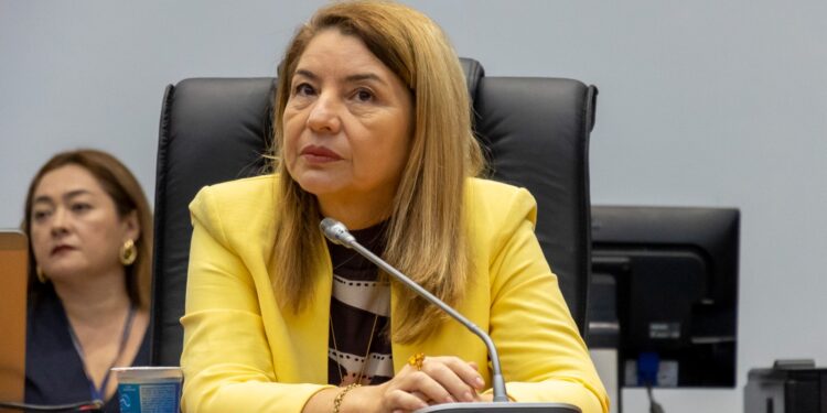 MARANHÃO – Iracema Vale reivindica implantação da Casa da Mulher Maranhense em Barreirinhas