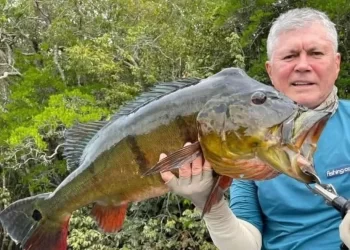 Médico maranhense está em lista de passageiros de avião que caiu no Amazonas, diz empresa de táxi aéreo