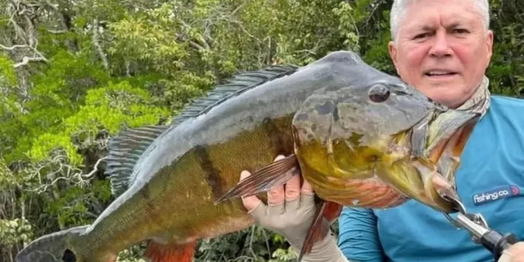 Médico maranhense está em lista de passageiros de avião que caiu no Amazonas, diz empresa de táxi aéreo