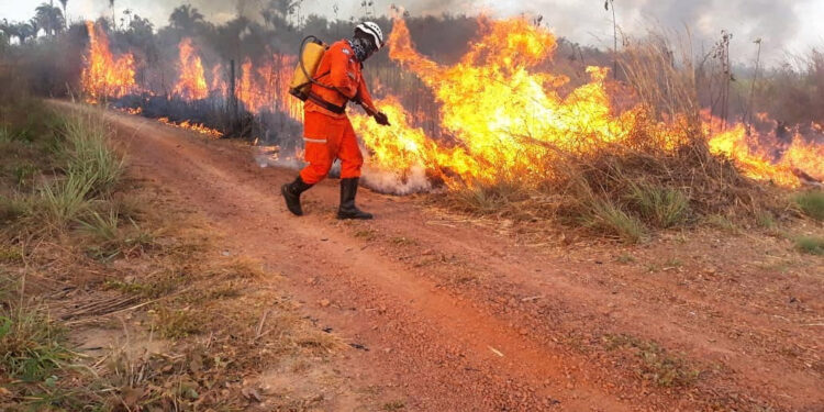 São Luís/MA – Corpo de Bombeiros já combateu 149 incêndios em vegetação na Grande Ilha em 2023