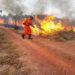São Luís/MA – Corpo de Bombeiros já combateu 149 incêndios em vegetação na Grande Ilha em 2023