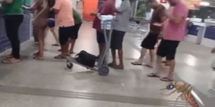 Alcântara/MA – Infestação de muriçocas no Cujupe