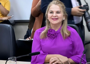 Lago da Pedra/MA – Maura Jorge em Brasília procura unir forças em prol do Médio Mearim e do Maranhão.