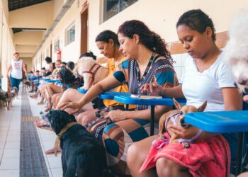 São Luís/MA – Governo leva assistência a cães e gatos na 4ª edição do Cuidar de Todos Saúde Animal