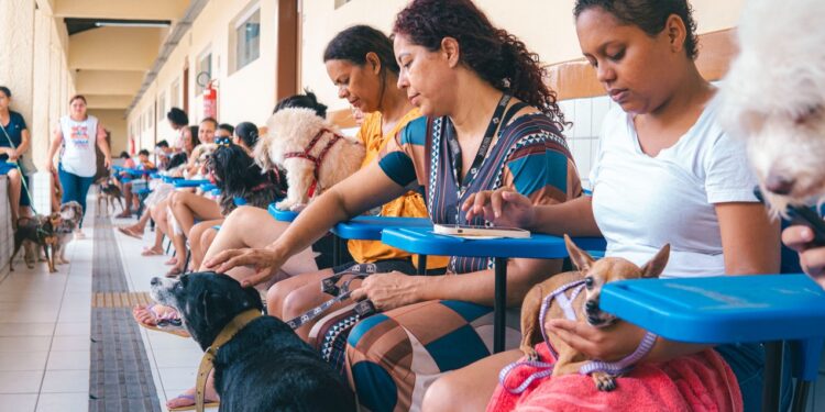 São Luís/MA – Governo leva assistência a cães e gatos na 4ª edição do Cuidar de Todos Saúde Animal