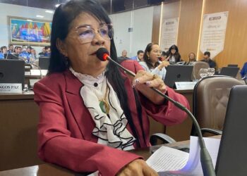 SÃO LUÍS / MA – Vereadora Fátima Araújo teve Oito projetos de lei aprovados na Câmara municipal esta semana.