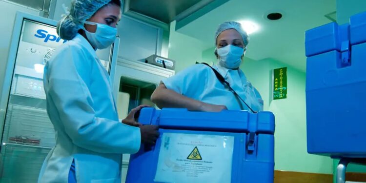São Luís/MA – Transplantes de órgãos cresceram 130% no Maranhão