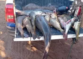 Aquidauana/MS – Operação tem 902 kg de pescado apreendidos e R$ 134 mil em multas