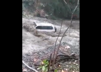 IMPRUDÊNCIA TEM PREÇO E SEJA COERENTE