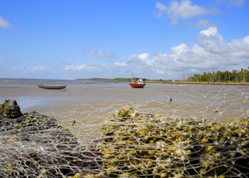 Guimarães/MA – Caminho dos Poetas transforma o acesso à paradisíaca Praia de Araoca