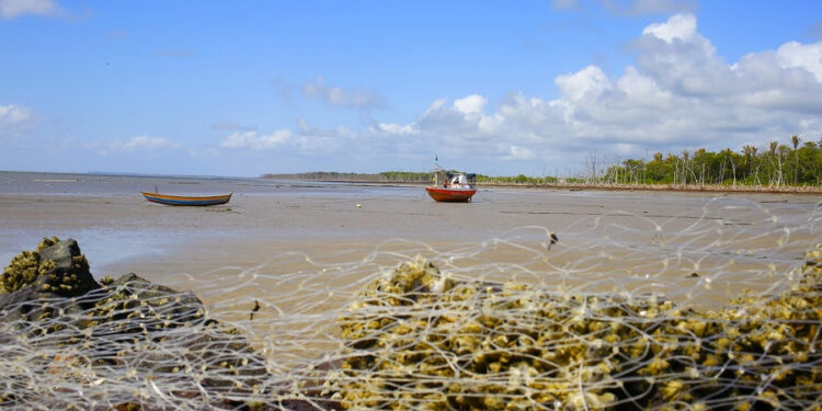 Guimarães/MA – Caminho dos Poetas transforma o acesso à paradisíaca Praia de Araoca