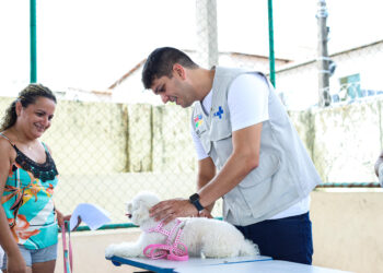São Luís/MA – Governo promove quinta ação do Cuidar de Todos Saúde Animal no bairro do São Francisco
