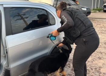 São Luís/MA – Polícia Civil deflagra operação de combate ao tráfico de drogas e prende sete pessoas na capital e Região Metropolitana