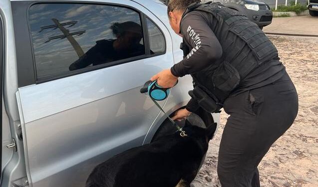 São Luís/MA – Polícia Civil deflagra operação de combate ao tráfico de drogas e prende sete pessoas na capital e Região Metropolitana