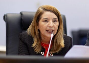 São Luís/MA – Iracema Vale anuncia criação de Comissão Especial para acompanhar caso de navio encalhado