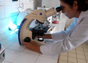 São Luís/MA – Dia Internacional da Mulher: Fapema fortalece trajetória de pesquisadoras maranhenses