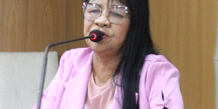 SÃO LUÍS/MA – Câmara Municipal aprova moção de aplausos de Fátima Araújo para secretário da SEMOSP